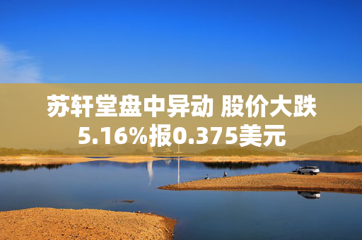 苏轩堂盘中异动 股价大跌5.16%报0.375美元