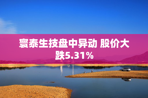 寰泰生技盘中异动 股价大跌5.31%