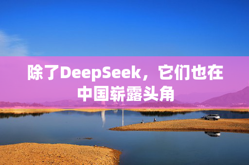 除了DeepSeek，它们也在中国崭露头角