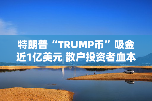 特朗普“TRUMP币”吸金近1亿美元 散户投资者血本无归