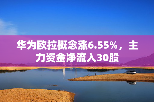 华为欧拉概念涨6.55%，主力资金净流入30股