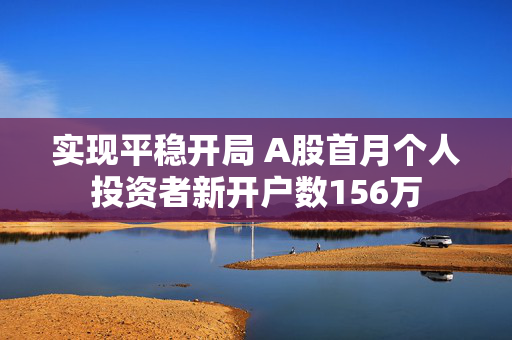 实现平稳开局 A股首月个人投资者新开户数156万
