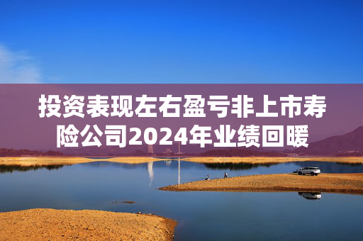 投资表现左右盈亏非上市寿险公司2024年业绩回暖