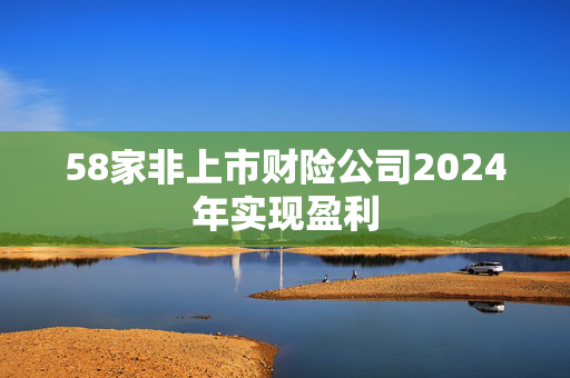 58家非上市财险公司2024年实现盈利