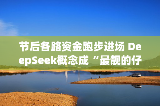 节后各路资金跑步进场 DeepSeek概念成“最靓的仔”