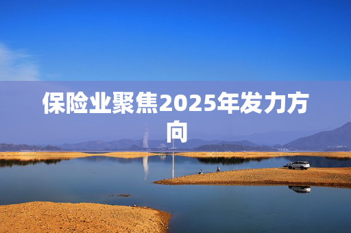 保险业聚焦2025年发力方向