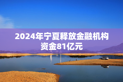 2024年宁夏释放金融机构资金81亿元