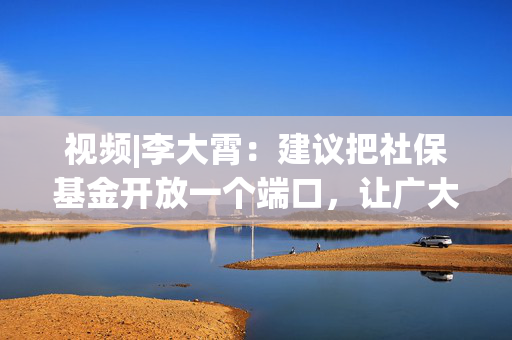 视频|李大霄：建议把社保基金开放一个端口，让广大股民基民购买