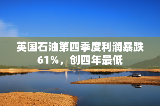 英国石油第四季度利润暴跌61%，创四年最低