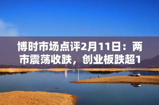 博时市场点评2月11日：两市震荡收跌，创业板跌超1.4%