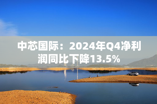 中芯国际：2024年Q4净利润同比下降13.5%