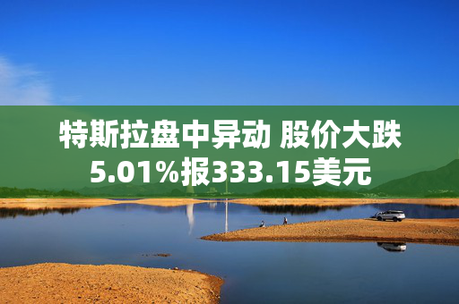 特斯拉盘中异动 股价大跌5.01%报333.15美元