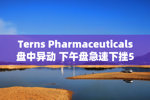 Terns Pharmaceuticals盘中异动 下午盘急速下挫5.04%