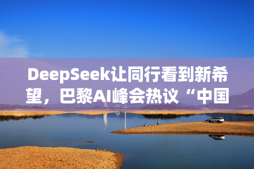 DeepSeek让同行看到新希望，巴黎AI峰会热议“中国成功”