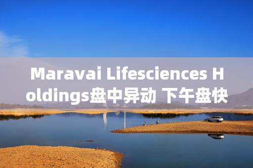 Maravai Lifesciences Holdings盘中异动 下午盘快速下挫5.02%