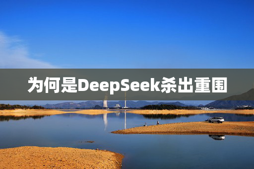 为何是DeepSeek杀出重围