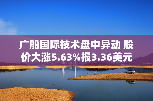 广船国际技术盘中异动 股价大涨5.63%报3.36美元