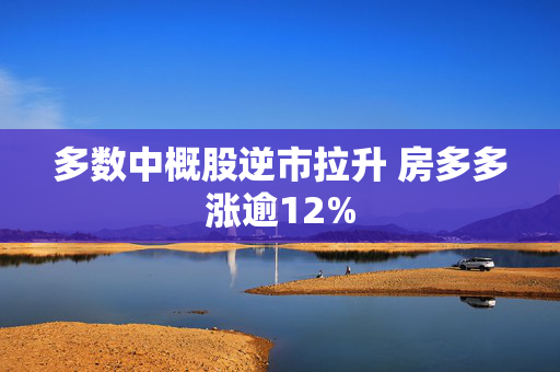 多数中概股逆市拉升 房多多涨逾12%