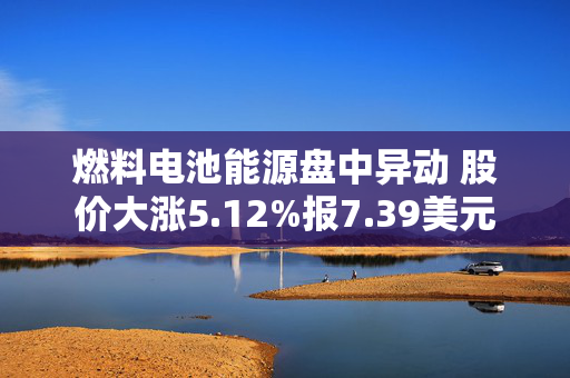 燃料电池能源盘中异动 股价大涨5.12%报7.39美元