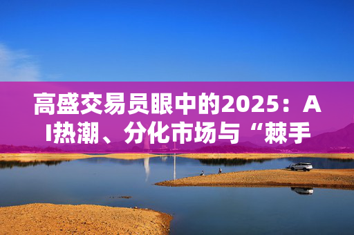 高盛交易员眼中的2025：AI热潮、分化市场与“棘手”的通胀