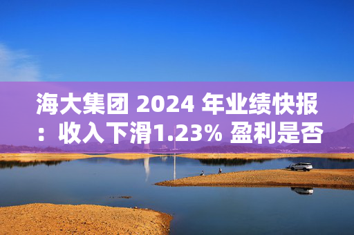 海大集团 2024 年业绩快报：收入下滑1.23% 盈利是否可持续？