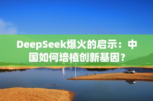 DeepSeek爆火的启示：中国如何培植创新基因？