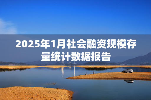 2025年1月社会融资规模存量统计数据报告