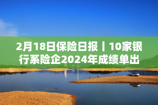 2月18日保险日报丨10家银行系险企2024年成绩单出炉，8家盈利2家亏损！透视险企最新偿付能力，7家亮红灯！