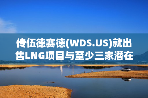 传伍德赛德(WDS.US)就出售LNG项目与至少三家潜在合作伙伴进行谈判