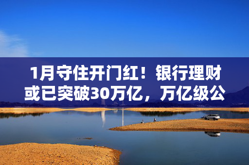 1月守住开门红！银行理财或已突破30万亿，万亿级公司扩容至13家