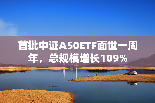 首批中证A50ETF面世一周年，总规模增长109%