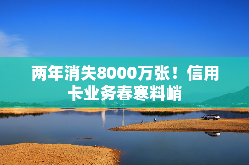 两年消失8000万张！信用卡业务春寒料峭