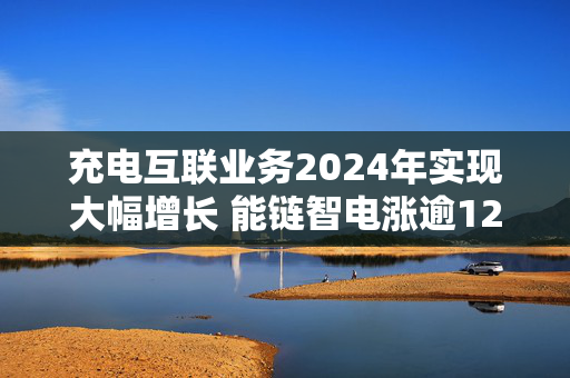 充电互联业务2024年实现大幅增长 能链智电涨逾12%