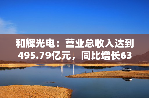 和辉光电：营业总收入达到495.79亿元，同比增长63.17%