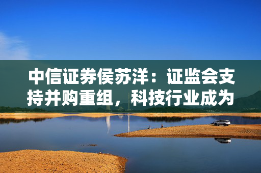 中信证券侯苏洋：证监会支持并购重组，科技行业成为未来重点方向，央国企和两创企业是重点关注对象