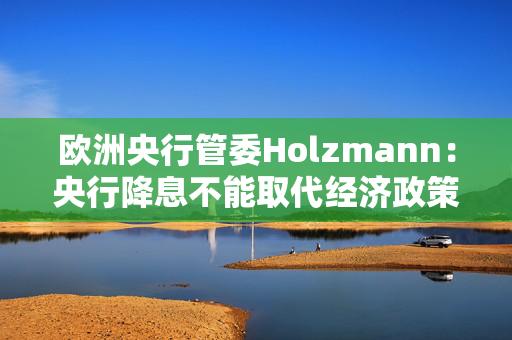 欧洲央行管委Holzmann：央行降息不能取代经济政策