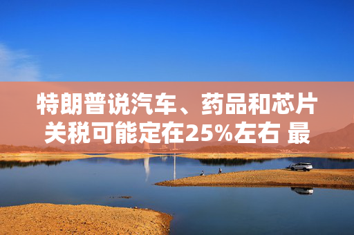 特朗普说汽车、药品和芯片关税可能定在25%左右 最早将于4月2日官宣