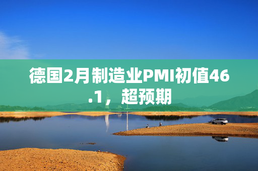 德国2月制造业PMI初值46.1，超预期