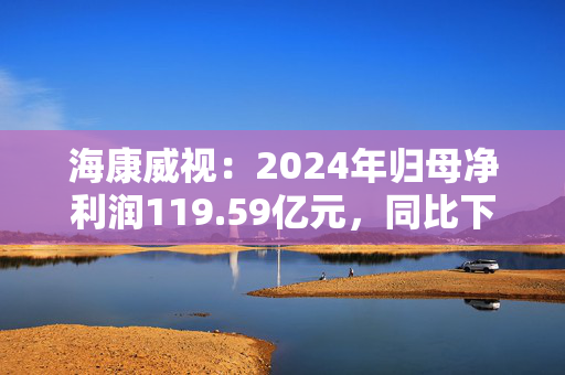 海康威视：2024年归母净利润119.59亿元，同比下降15.23%