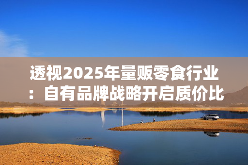 透视2025年量贩零食行业：自有品牌战略开启质价比时代