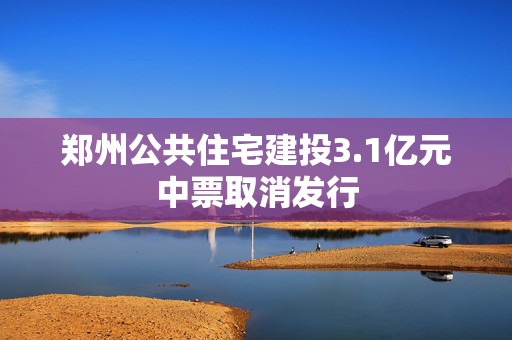 郑州公共住宅建投3.1亿元中票取消发行