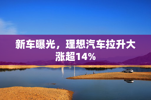 新车曝光，理想汽车拉升大涨超14%