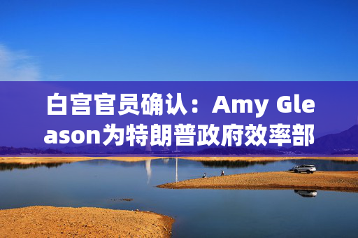 白宫官员确认：Amy Gleason为特朗普政府效率部的代理主管