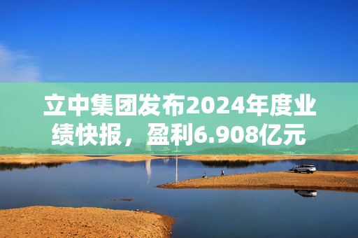 立中集团发布2024年度业绩快报，盈利6.908亿元