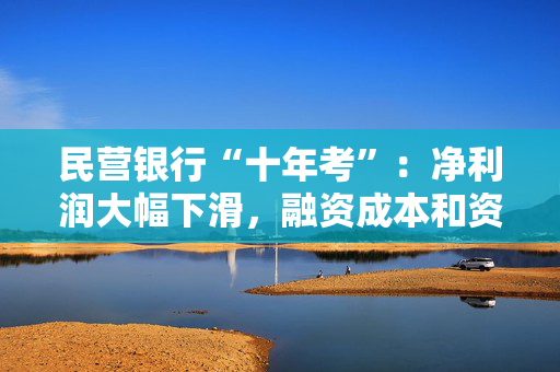 民营银行“十年考”：净利润大幅下滑，融资成本和资本充足率成最大挑战