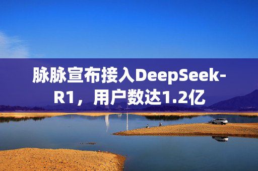 脉脉宣布接入DeepSeek-R1，用户数达1.2亿