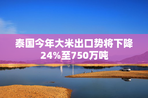 泰国今年大米出口势将下降24%至750万吨