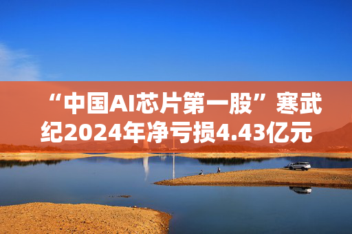 “中国AI芯片第一股”寒武纪2024年净亏损4.43亿元 盘中跌超8%