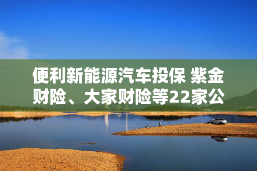 便利新能源汽车投保 紫金财险、大家财险等22家公司接入“车险好投保”平台