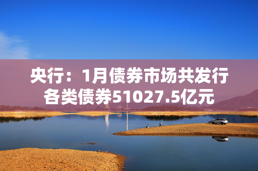 央行：1月债券市场共发行各类债券51027.5亿元